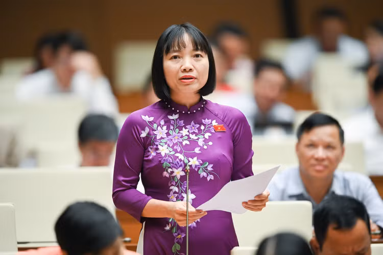 An tinh ai, sat hai nguoi than… lam “nong” nghi truong Quoc hoi-Hinh-3