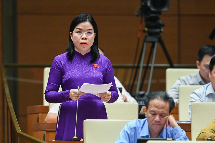 An tinh ai, sat hai nguoi than… lam “nong” nghi truong Quoc hoi-Hinh-5