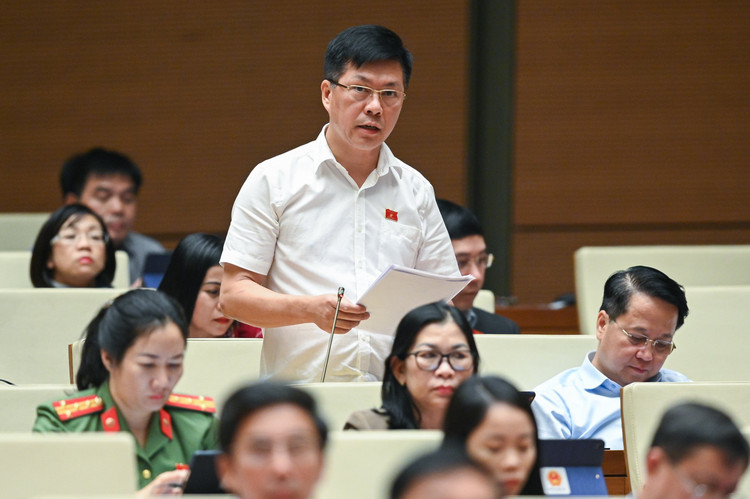 An tinh ai, sat hai nguoi than… lam “nong” nghi truong Quoc hoi-Hinh-9