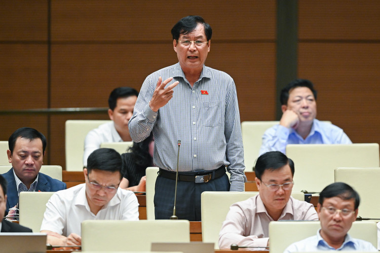 An tinh ai, sat hai nguoi than… lam “nong” nghi truong Quoc hoi-Hinh-6