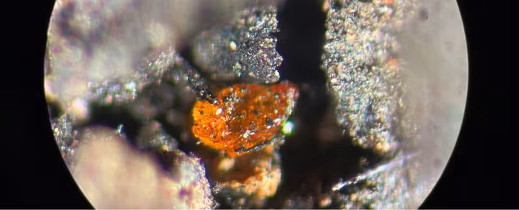 Nong: Lan dau tien phat hien ho phach o Nam Cuc