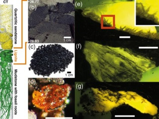 Nong: Lan dau tien phat hien ho phach o Nam Cuc-Hinh-6