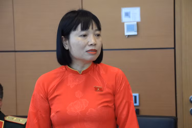 Sua doi Hien phap la dap ung nhu cau phat trien dac biet cua dat nuoc-Hinh-3