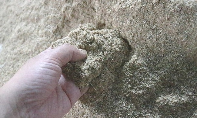 Huong tram xu Nghe tat bat chuan bi don hang don Tet-Hinh-3