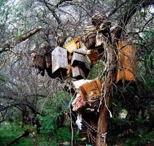 Giat minh nhung kieu mai tang doc nhat vo nhi tren the gioi-Hinh-8