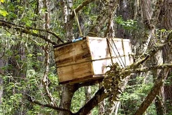 Giat minh nhung kieu mai tang doc nhat vo nhi tren the gioi-Hinh-10