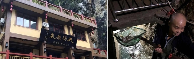 Phat hien “suoi ca” bi an duoi san, lao nong “doi doi” trong mot dem-Hinh-10