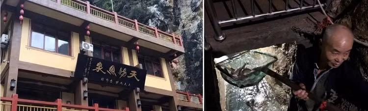 Phat hien “suoi ca” bi an duoi san, lao nong “doi doi” trong mot dem-Hinh-10