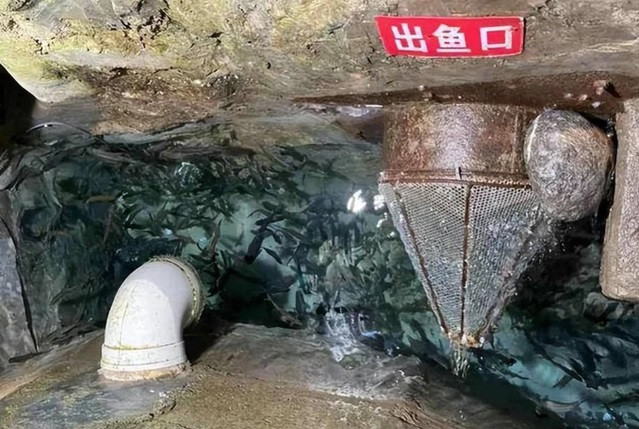 Phat hien “suoi ca” bi an duoi san, lao nong “doi doi” trong mot dem-Hinh-9