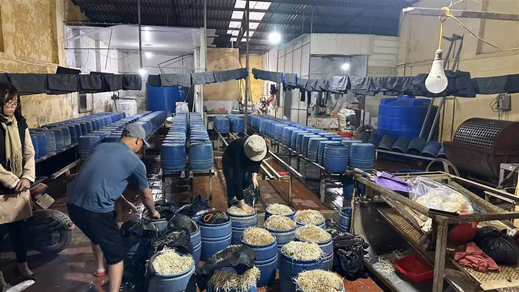 Khoi to chu co so san xuat 30 tan gia do dung thuoc cam