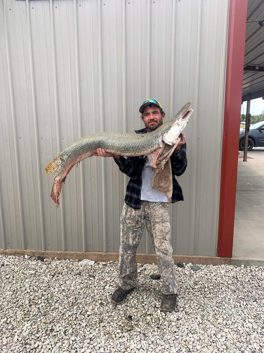 Soi quai ngu gan 160 kg, mom giong ca sau, rang sac nhu dao-Hinh-3