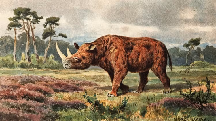 Phat hien giat minh ve xac uop te giac 32.000 tuoi-Hinh-9