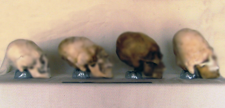 Phat hien soc ve nhung hop so dai nhu cua nguoi ngoai hanh tinh-Hinh-6