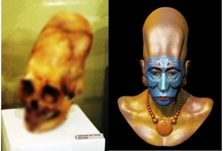 Phat hien soc ve nhung hop so dai nhu cua nguoi ngoai hanh tinh-Hinh-4