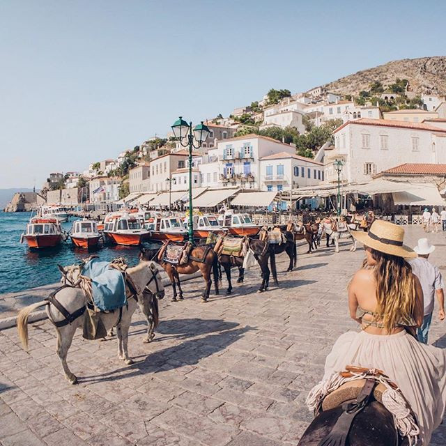 Cuoc song tren hon dao cam o to, di lai bang thu bon chan-Hinh-8