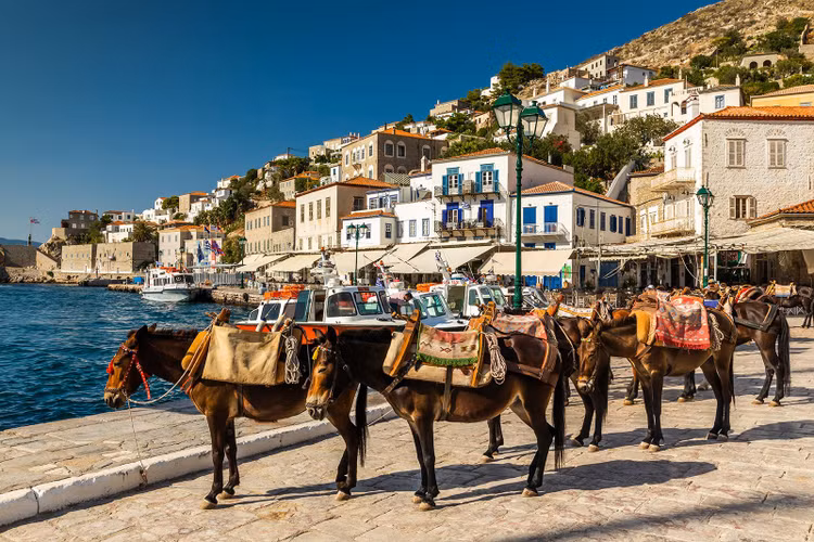 Cuoc song tren hon dao cam o to, di lai bang thu bon chan-Hinh-2