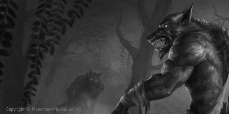 Bi an truyen thuyet nguoi hoa soi gieo rac noi am anh kinh hoang-Hinh-8