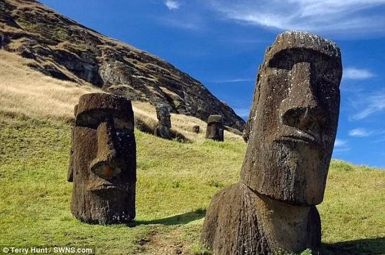 Phat hien moi tren dao Phuc Sinh hua hen giai ma bi an lon-Hinh-9