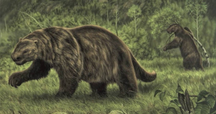 Lo dien quai thu 'bat kha chien bai' thong tri Amazon thoi tien su-Hinh-4