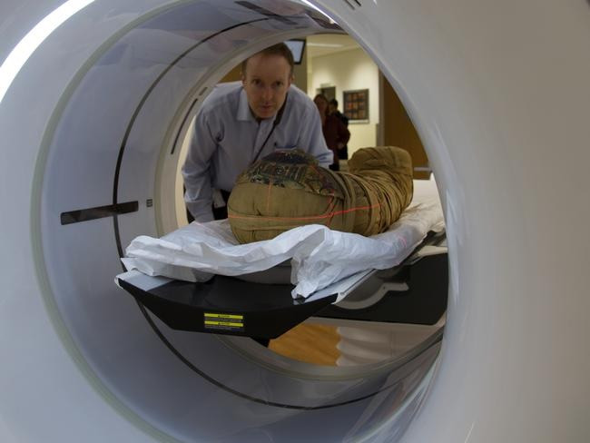 Mo nap quan tai co tuong trong rong, nga ngua voi canh tuong ben trong-Hinh-8