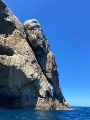 Bi mat bat ngo o hon dao trong giong so nguoi-Hinh-6