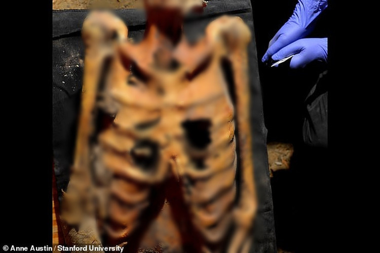 Giai ma hang chuc hinh xam doc tren xac uop Ai Cap 3.000 tuoi-Hinh-2