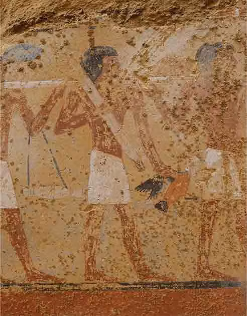 Mo mo co Ai Cap 4.300 tuoi, chuyen gia thot len 'bao vat' quy-Hinh-5