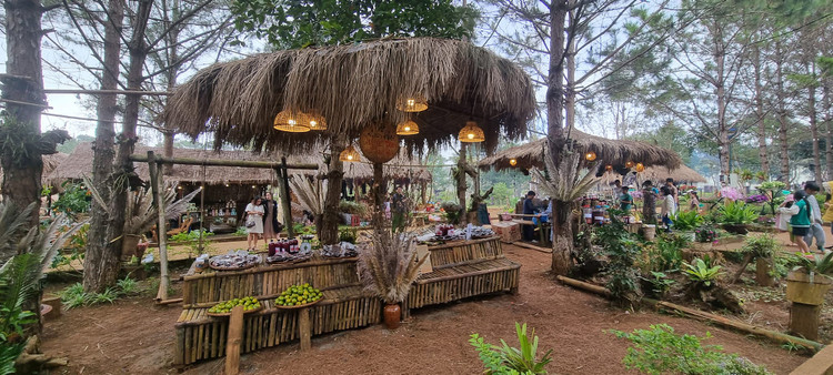 Kon Tum: Lung linh “Măng Đen-Thiên đường hồng” - Hình 4 Kon Tum: Lung linh “Mang Den-Thien duong hong”-Hinh-4