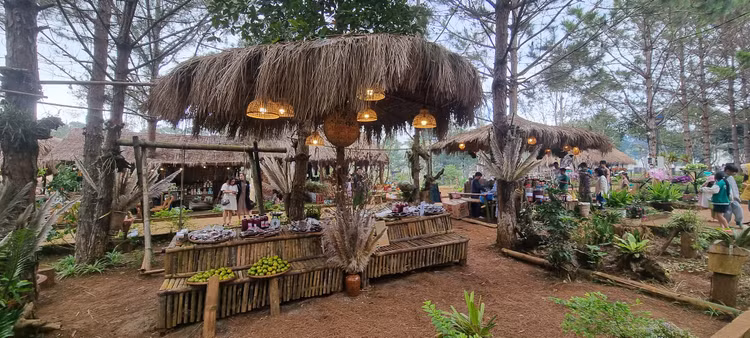 Kon Tum: Lung linh “Mang Den-Thien duong hong”-Hinh-4