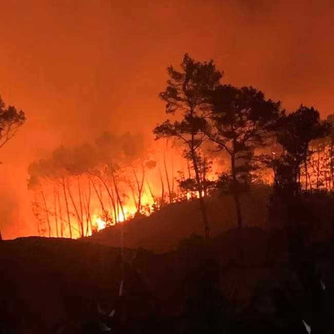 Cong an lam viec voi 4 nghi can gay chay rung o Nghe An