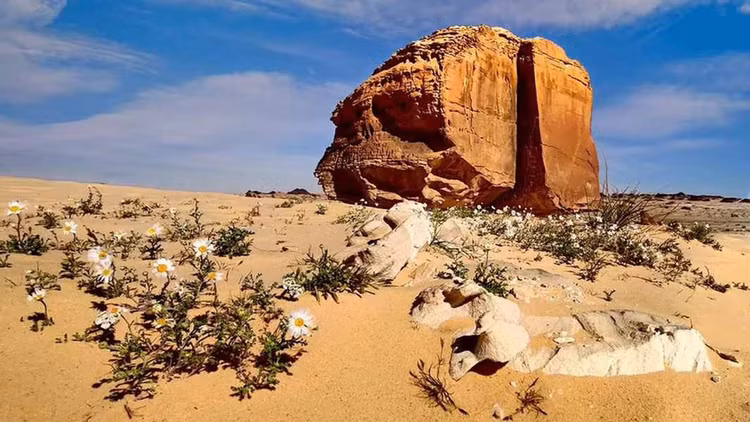 Vet cat hoan hao tren khoi da sa thach bi an nhat Arab Saudi-Hinh-4