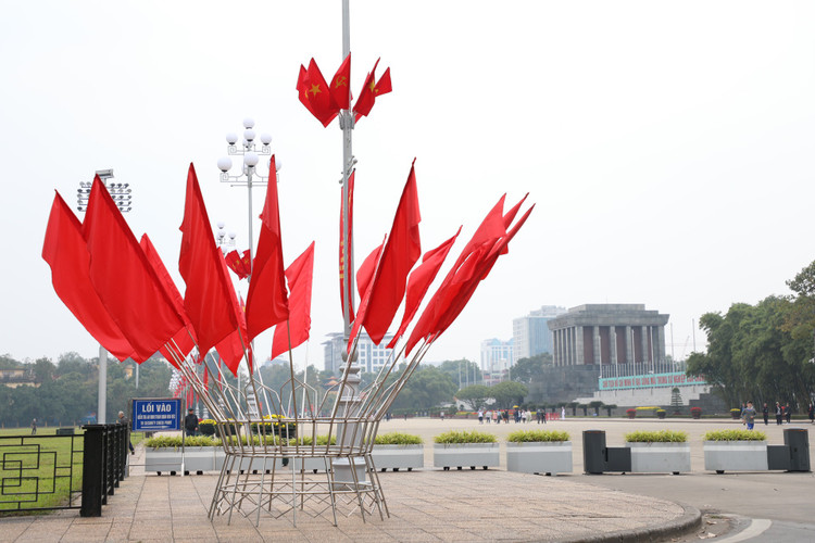 Duong pho Ha Noi ruc ro co hoa chao don xuan Quy Mao 2023-Hinh-4