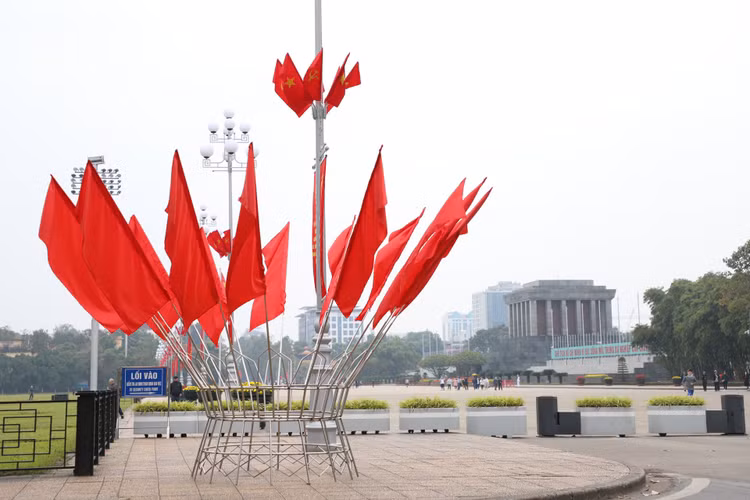 Duong pho Ha Noi ruc ro co hoa chao don xuan Quy Mao 2023-Hinh-4