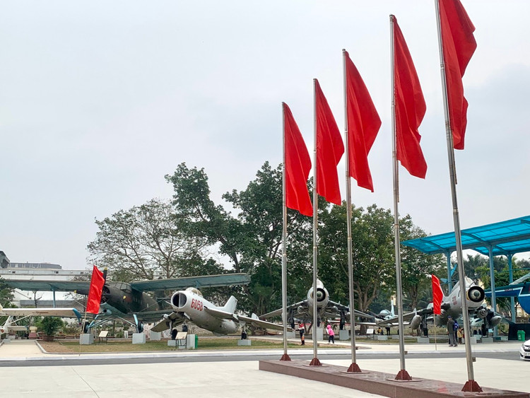 Duong pho Ha Noi ruc ro co hoa chao don xuan Quy Mao 2023-Hinh-7