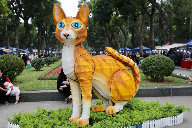 Duong pho Ha Noi ruc ro co hoa chao don xuan Quy Mao 2023-Hinh-14