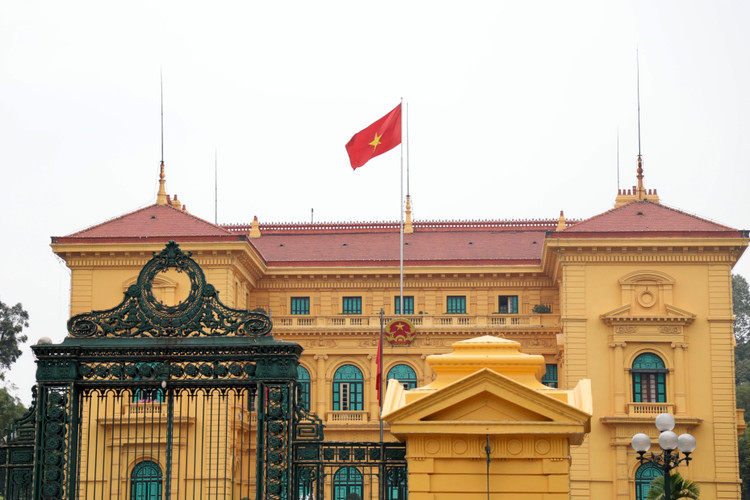 Duong pho Ha Noi ruc ro co hoa chao don xuan Quy Mao 2023-Hinh-5