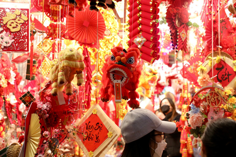 Pho Hang Ma ruc sac do chao don Tet Quy Mao 2023-Hinh-4