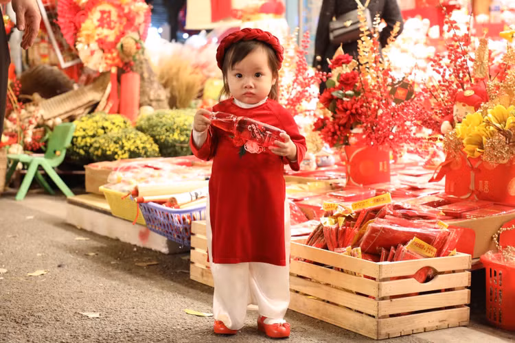 Pho Hang Ma ruc sac do chao don Tet Quy Mao 2023-Hinh-8