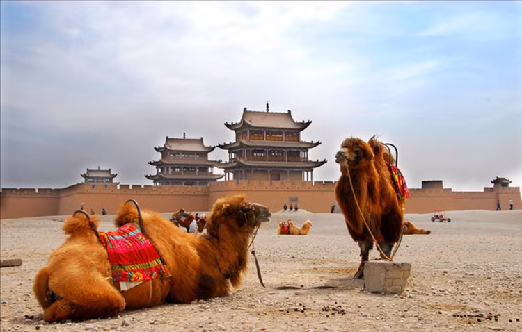 Bi an cua ai xay 99.999 vien gach o Van Ly Truong Thanh-Hinh-7