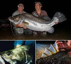 Soi “quai ngu” song Nile dang dung truoc nguy co tuyet chung-Hinh-10