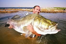 Soi “quai ngu” song Nile dang dung truoc nguy co tuyet chung-Hinh-5