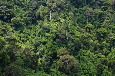 Top su that chang may ai biet, nghe qua da giat minh-Hinh-10