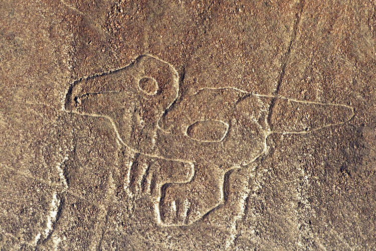 Top bi an xuyen thoi dai co the duoc giai ma trong TK 21-Hinh-10