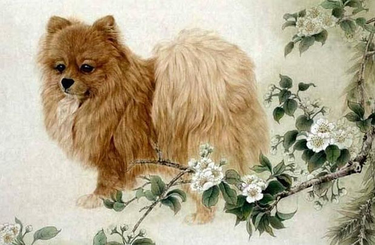 Du doan ngay moi 20/2/2024 cho 12 con giap: Mui thuan loi, Ty kho khan-Hinh-11