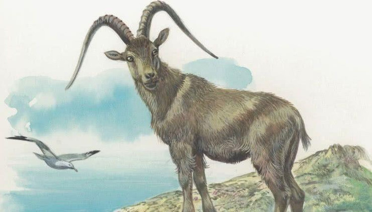 Du doan ngay moi 20/2/2024 cho 12 con giap: Mui thuan loi, Ty kho khan-Hinh-8