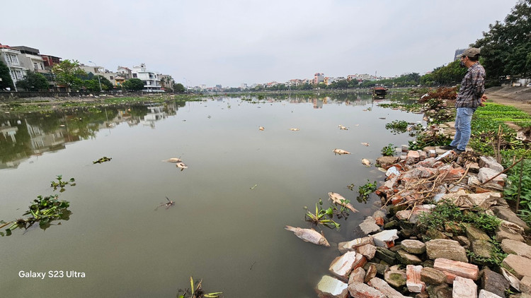 Ca chet troi tran ngap song Sat, may xuc duoc dieu truc vot-Hinh-3