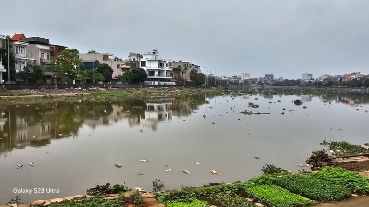 Ca chet troi tran ngap song Sat, may xuc duoc dieu truc vot-Hinh-5