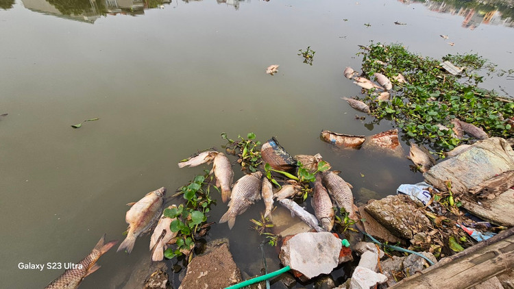 Ca chet troi tran ngap song Sat, may xuc duoc dieu truc vot