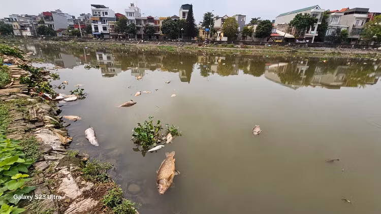 Ca chet troi tran ngap song Sat, may xuc duoc dieu truc vot-Hinh-4