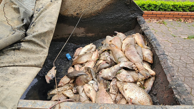 Ca chet troi tran ngap song Sat, may xuc duoc dieu truc vot-Hinh-13